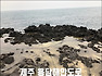 3월 제주도 가볼만한곳 10곳 여행지✔ 『봄날의 축제』