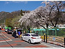 여수 진달래꽃 산행 명산 - 영취산 등산코스