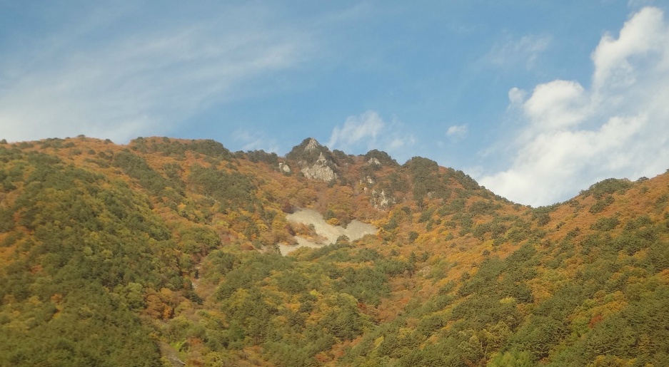 정선 이미지