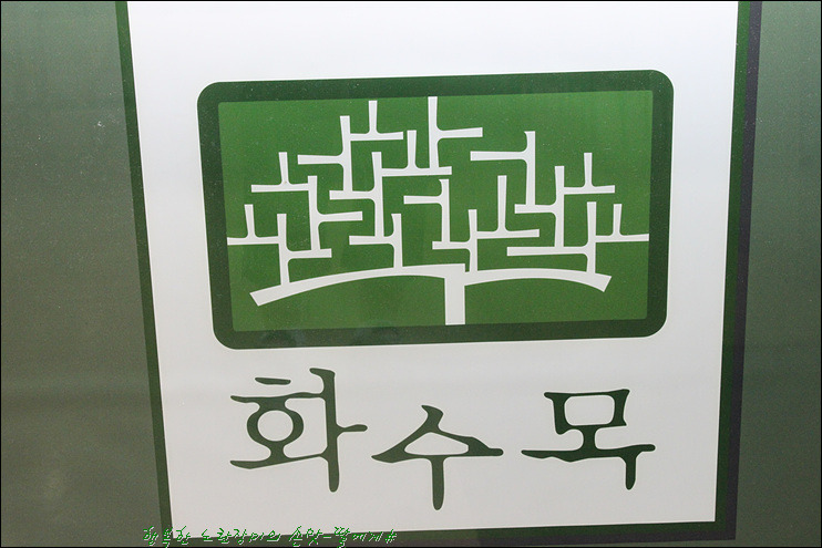 한여름 보양식으로 딱~ 한우샤브샤브~ [분당맛집]
