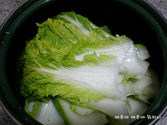 간단하게 만들어 먹는 시골밥상-봄동 시래기 조림^^