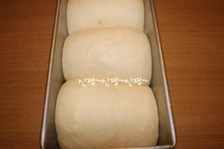 식빵도 입안에서 녹을 수 있다~! "생크림 식빵"