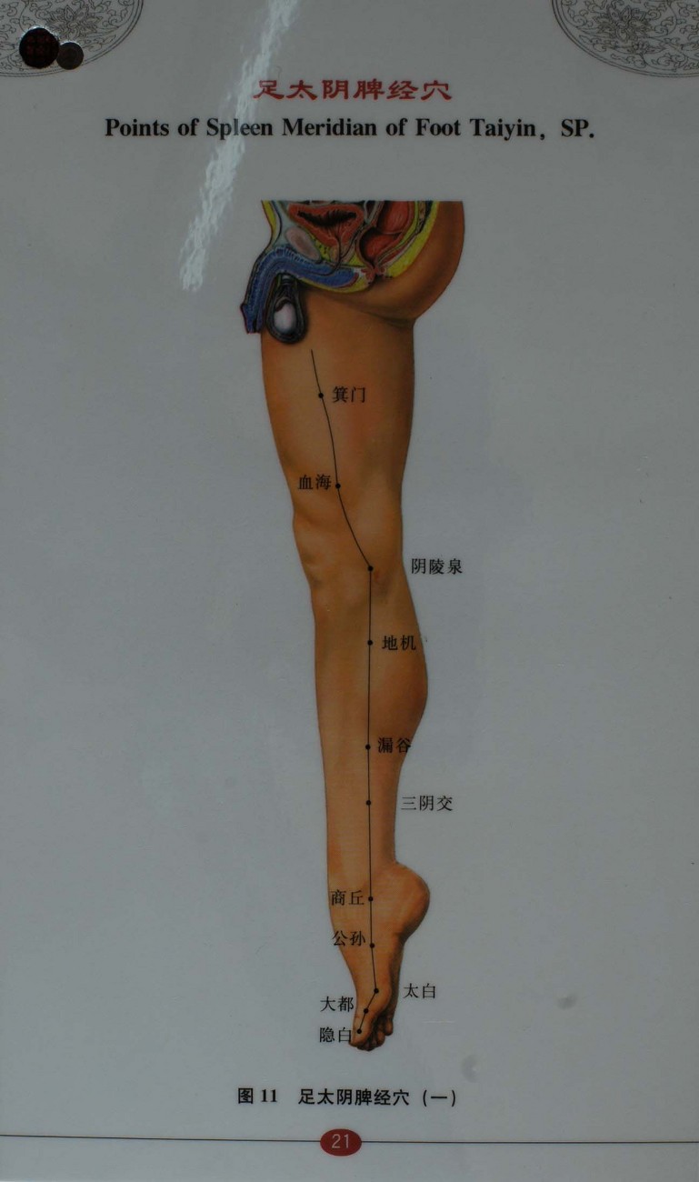  침구경혈자리