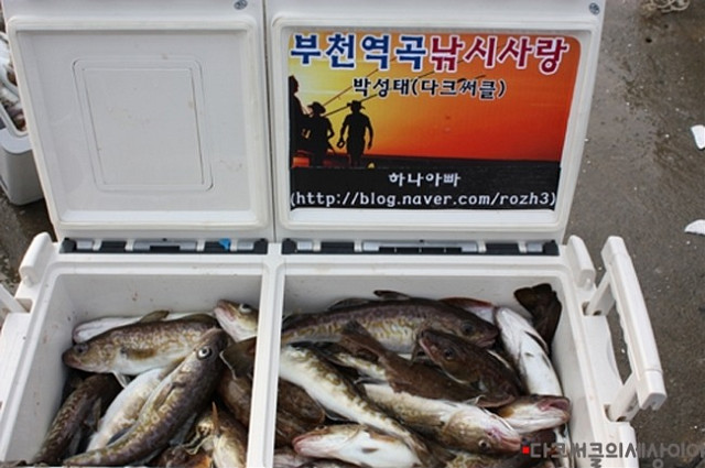 갯배생선구이 이미지