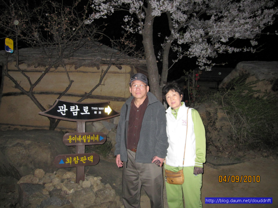 벚꽃이 흐드러진 섬진강 꽃길을 따라 가본 최참판댁