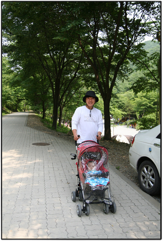 남이자연휴양림 이미지