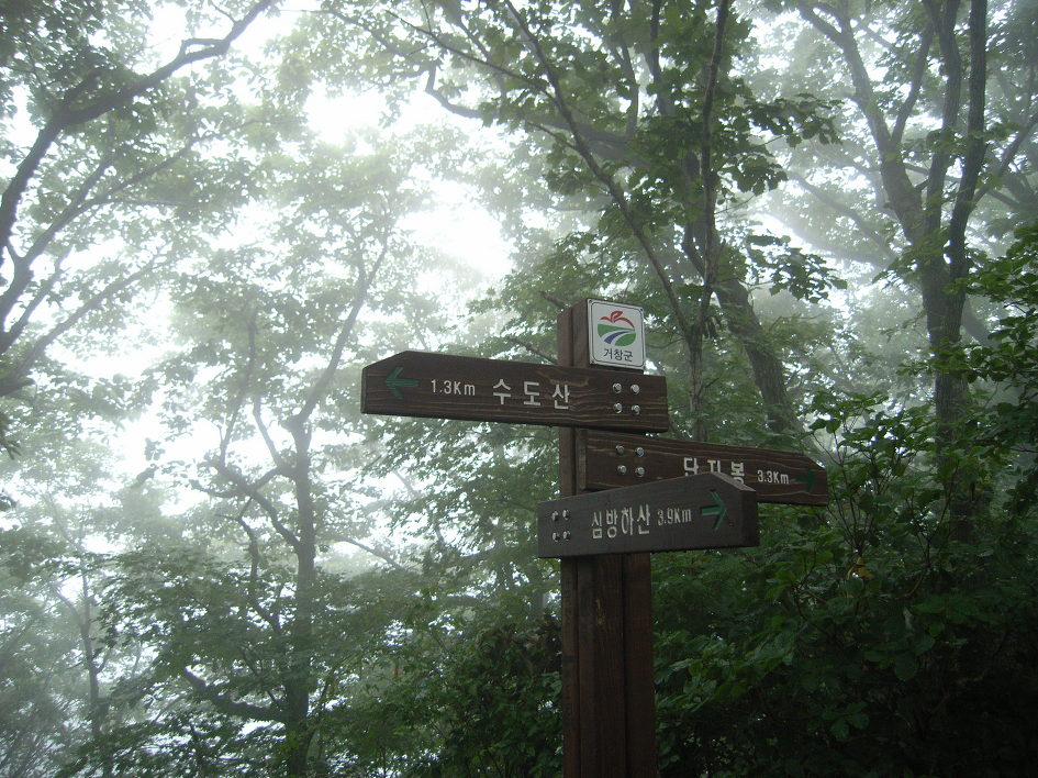 산행_김천 수도산