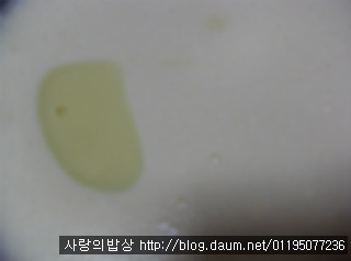 과일 크레페