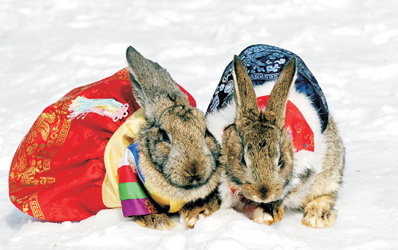 신묘년 토끼의 세배…“즐거운 설 되세요”