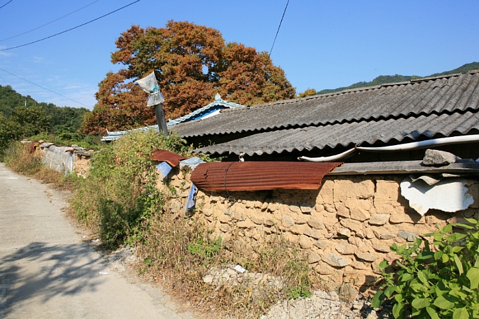 돌담 이미지