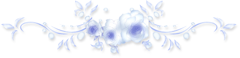1325244050016C27341244