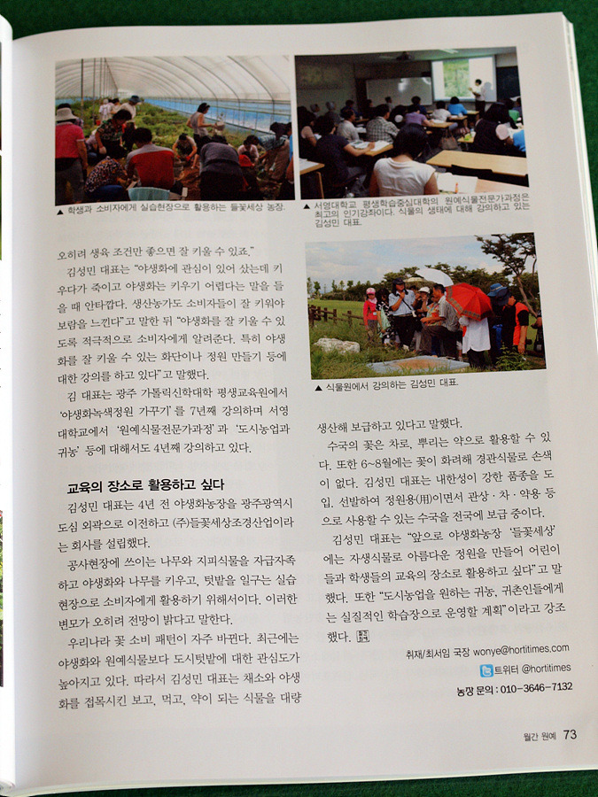 들꽃세상 이미지