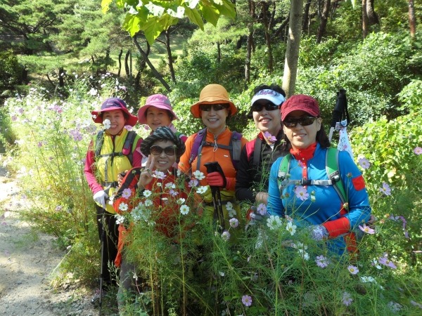 제82회 팔공산 올레길