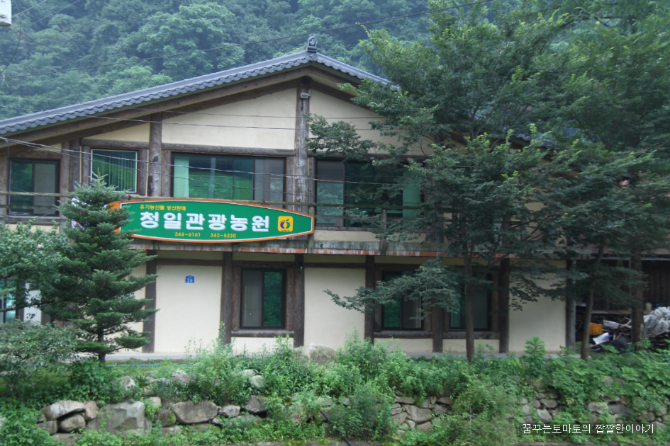 청일관광농원 이미지