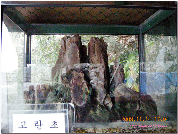 금남정맥7구간(반송리고개 - 진고개 - 구드레나루)