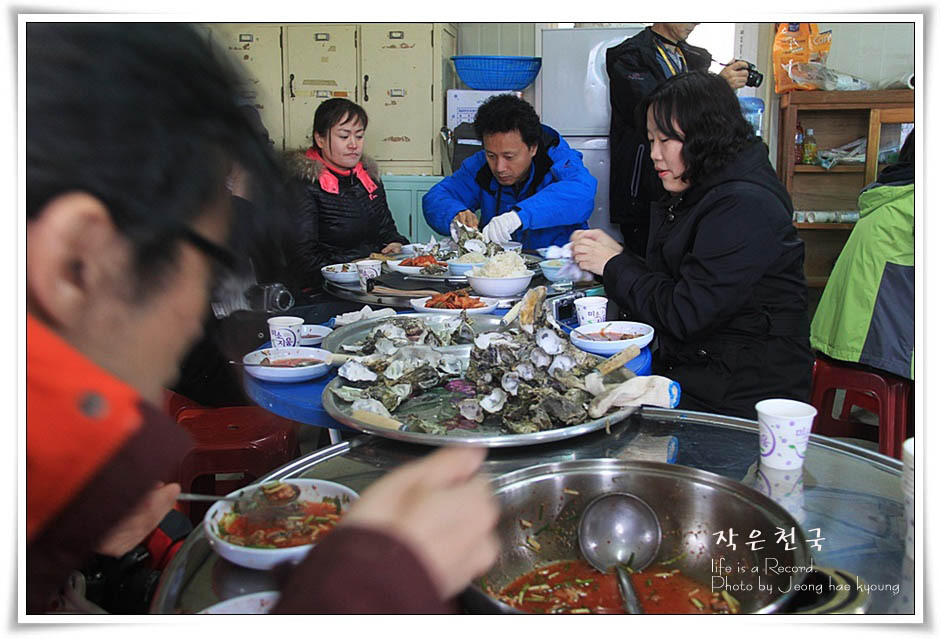 풀루풀루 이미지