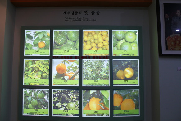서귀포자연휴양림야영장 이미지