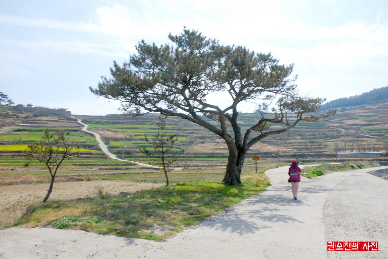 더블클릭을 하시면 이미지를 수정할 수 있습니다