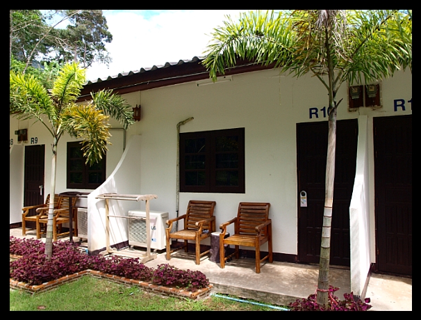 1462114F4E0ED197244963