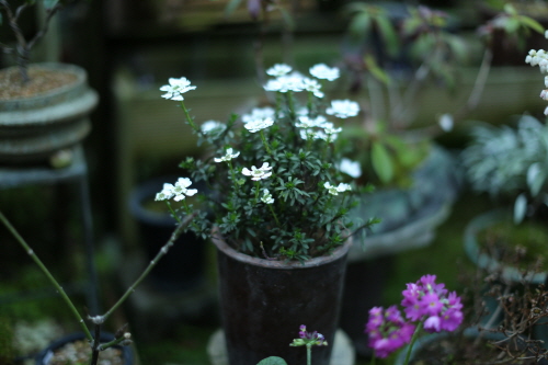 2013년 3월 21일 오후 09:32