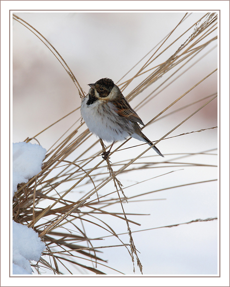 인연의 강가에서