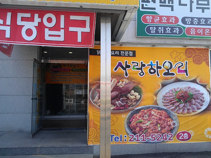 사랑하오리 이미지