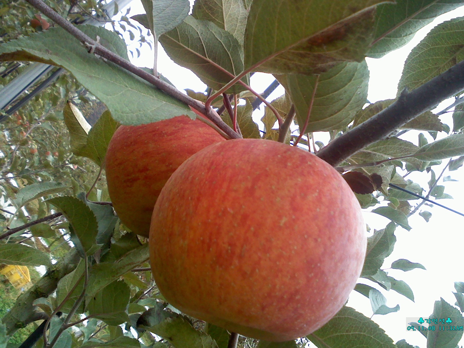프로필 이미지