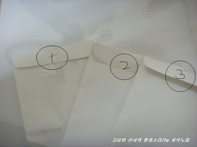 축의금 봉투 어떻게 주고 있나요?