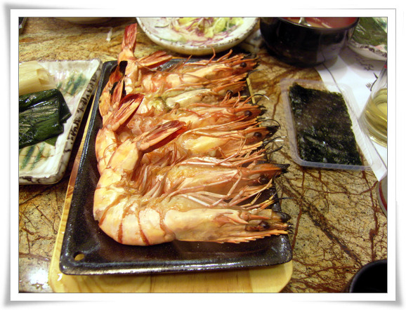 참치애 이미지