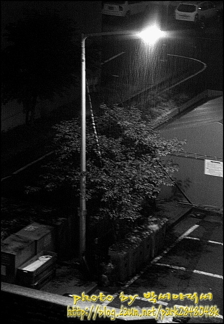 골목길에 가로등이 없다면 ...