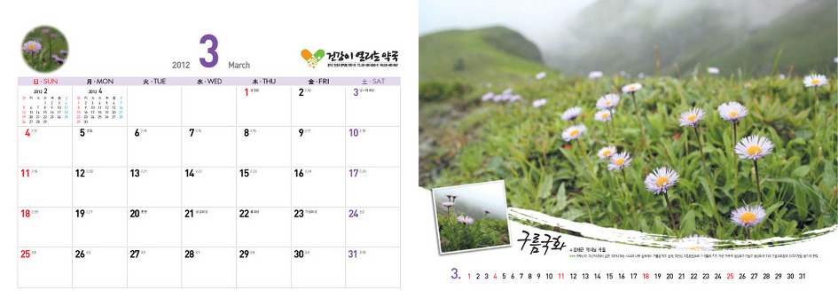 야생화달력탁상용2012년-백두산속야생화