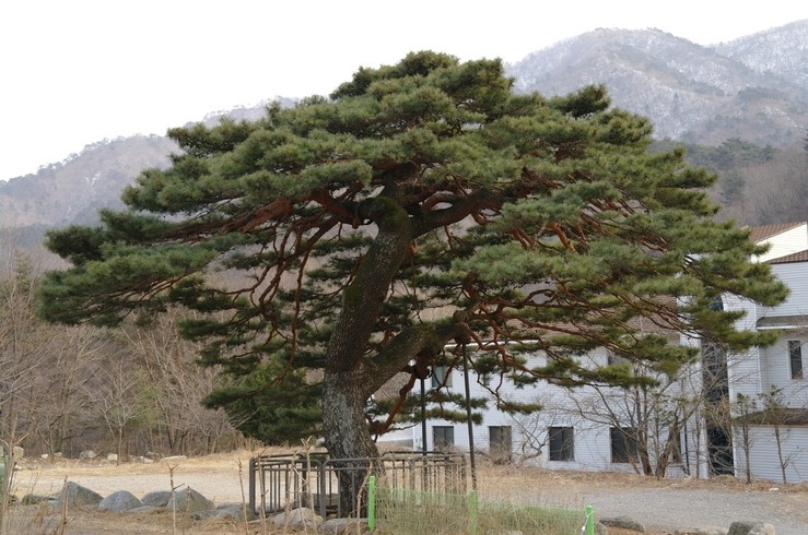 남설악모텔 이미지