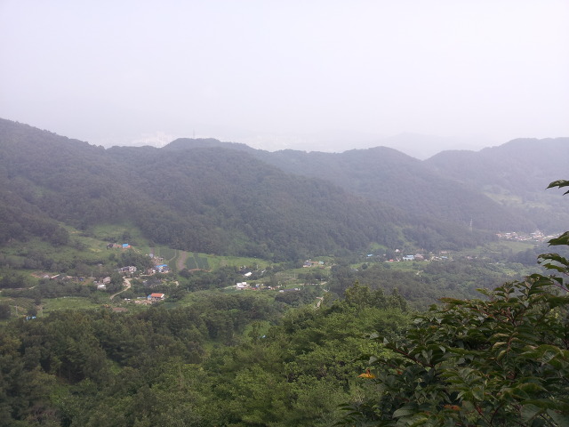 칠곡 이근배 동문댁 방문
