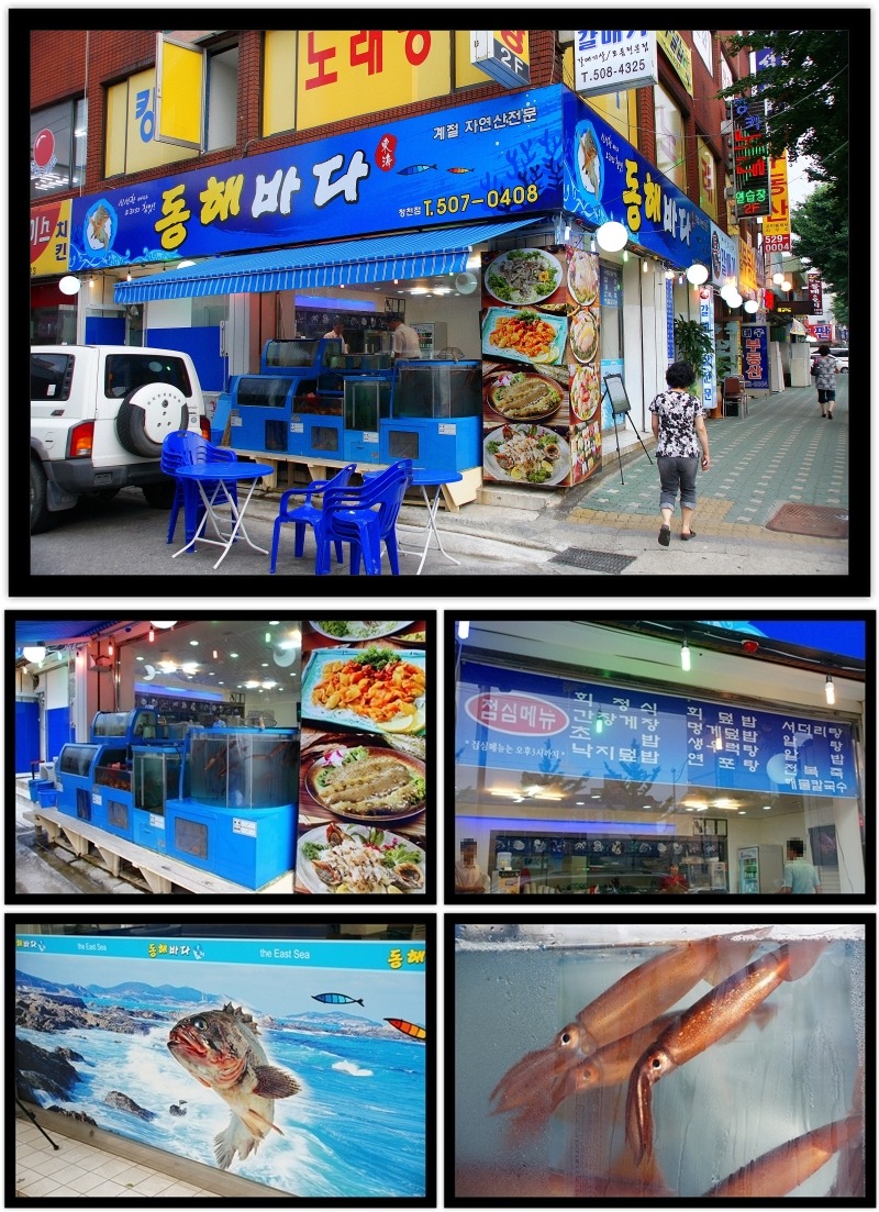 본집 이미지