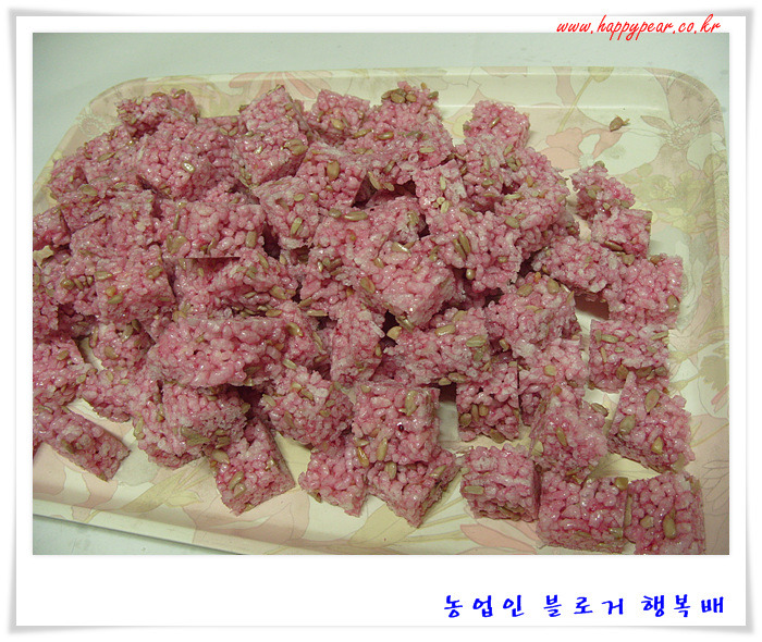 천년초가  어떤 것인가 호기심에 ~~  *^^*