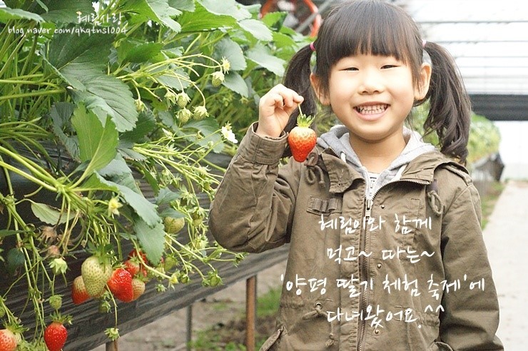 175A83554DA873C70D5D4D