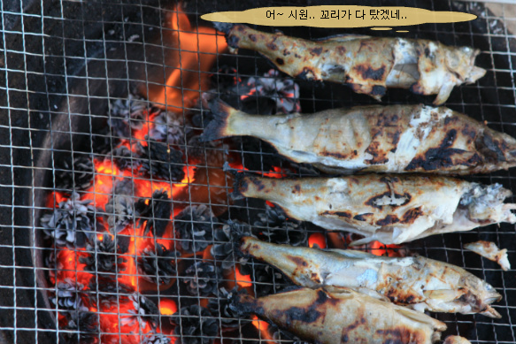 솔방울 구이 이미지