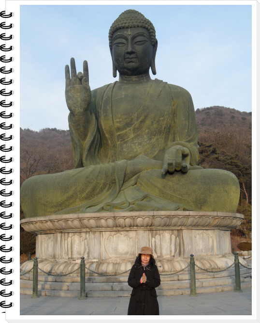 법인자연심 이미지