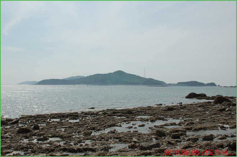 모도리 이미지