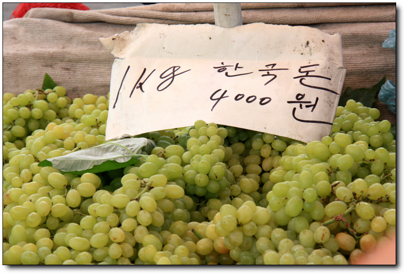 [중국-집안] 6부 - 대륙에서 만난 너덜너덜 걸레차