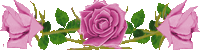 19084E4D4D57C24228FA78