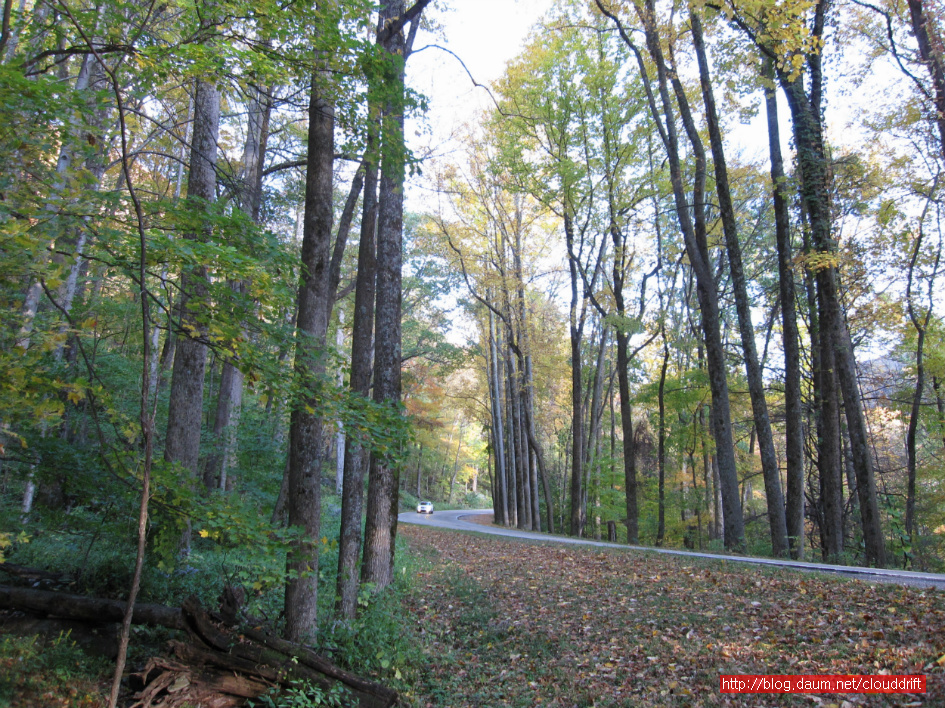 체로키 인디언들의 슬픈 사연과 그레이트 스모키 마운틴의 마지막 단풍 
