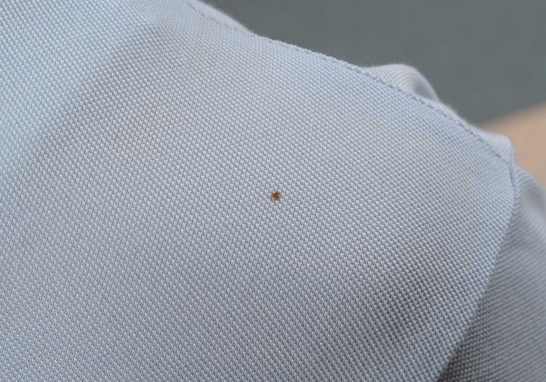 192F374E4D9F1B4F016865