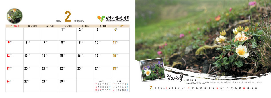 야생화달력탁상용2012년-백두산속야생화