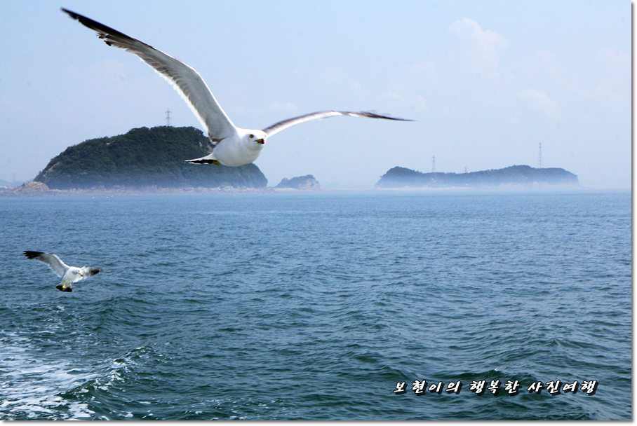 바다향 칼국수 이미지