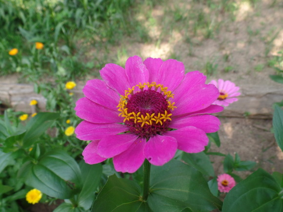 임종직전에 귀에다 대고 예경지송을