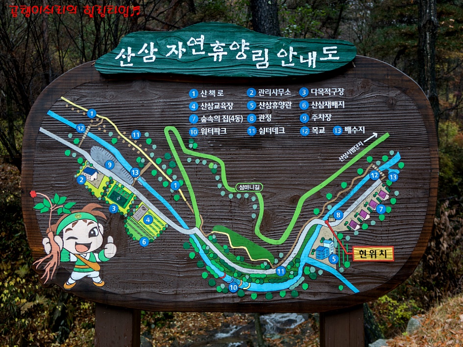 산삼자연휴양림 이미지