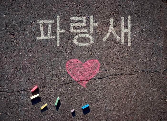 블로그 이미지