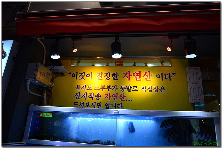 욕지도횟집 이미지