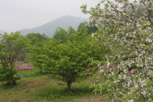 행운꽃화원 이미지